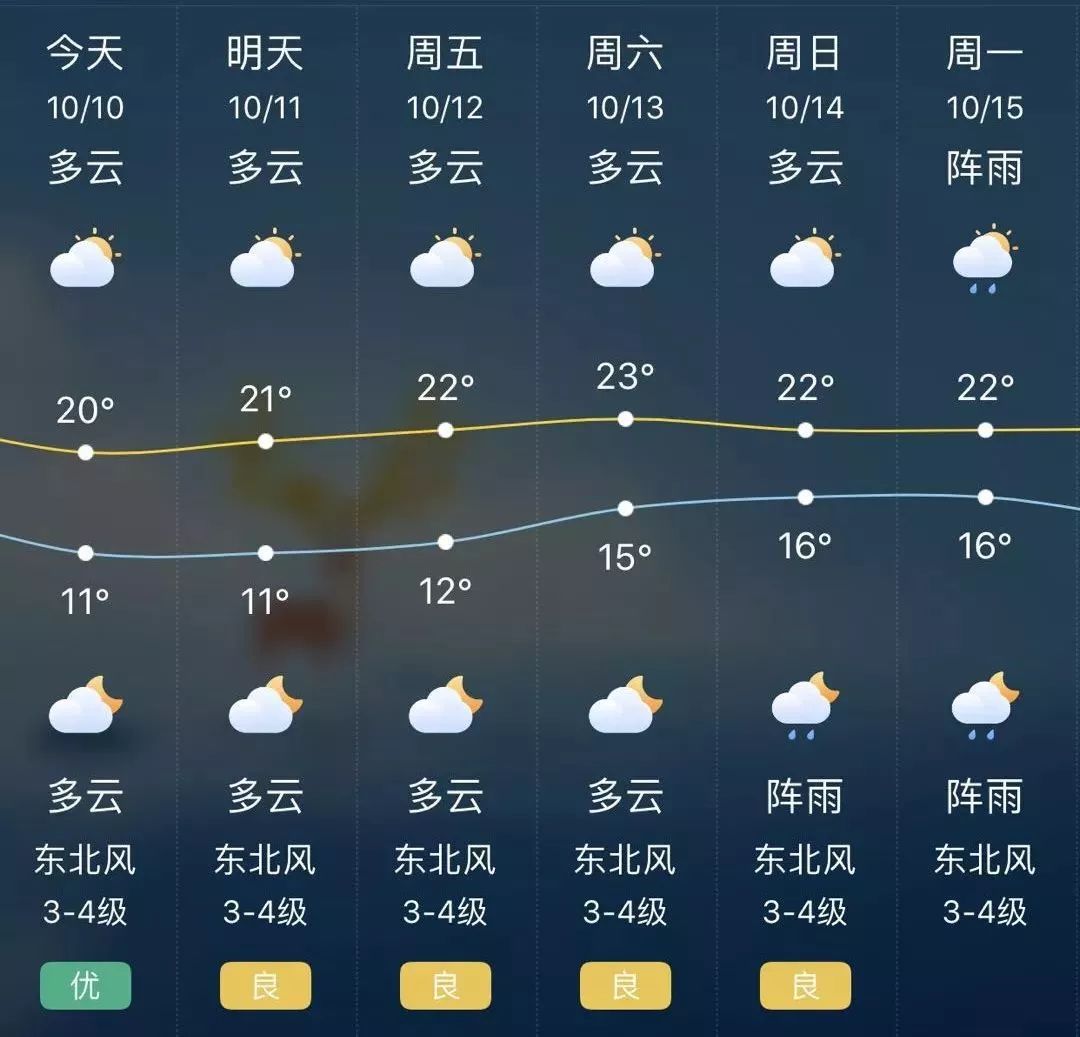 2024年12月24日 第5页